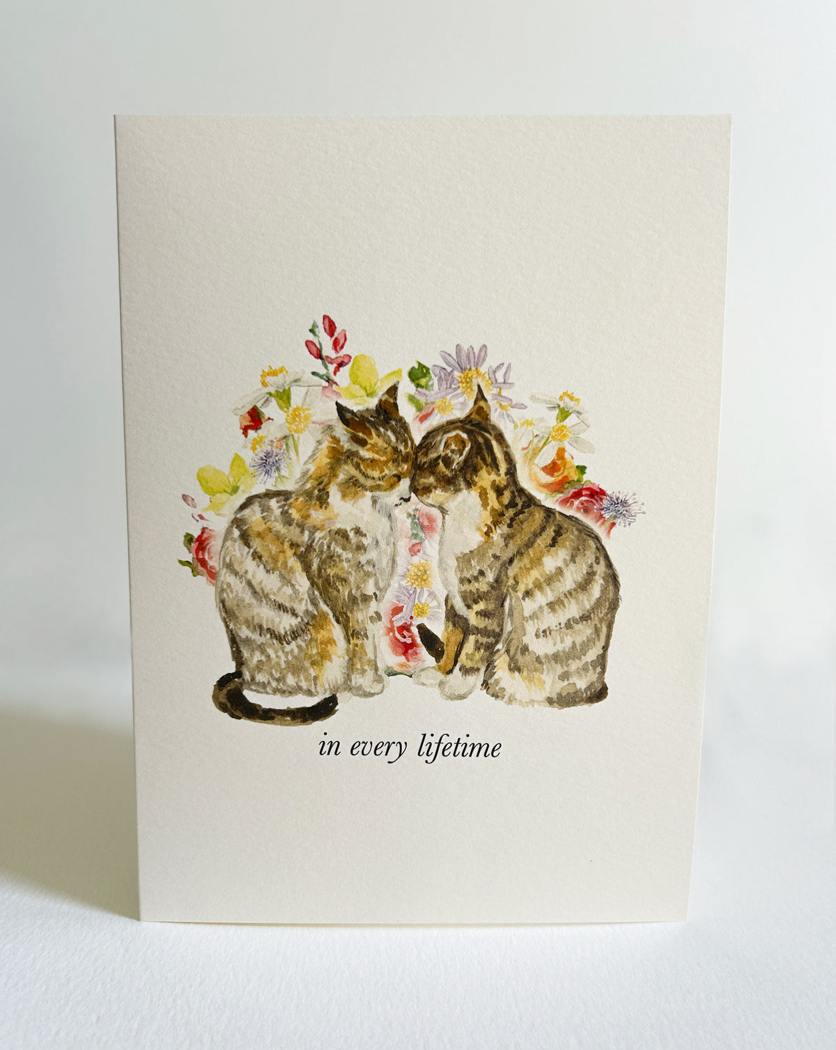 A vertical cream-colored greeting card featuring an illustration of two cats sitting side by side, surrounded by colorful flowers, with the printed text 'in every lifetime' below. The card is photographed standing upright on a light surface against a neutral light gray background.